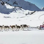 شقة Majestic In *